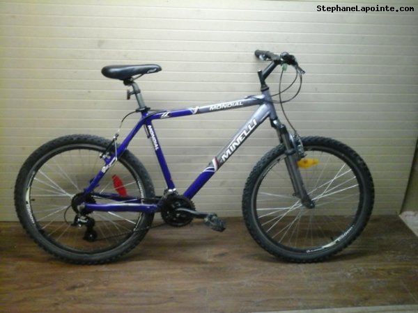 Vélo Minelli Mondial - StephaneLapointe.com