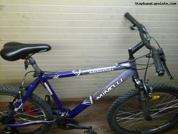 Vélo Minelli Mondial - StephaneLapointe.com