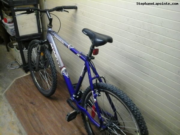 Vélo Minelli Mondial - StephaneLapointe.com
