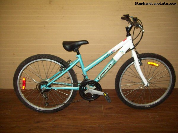 Vélo Triumph Challenger - StephaneLapointe.com