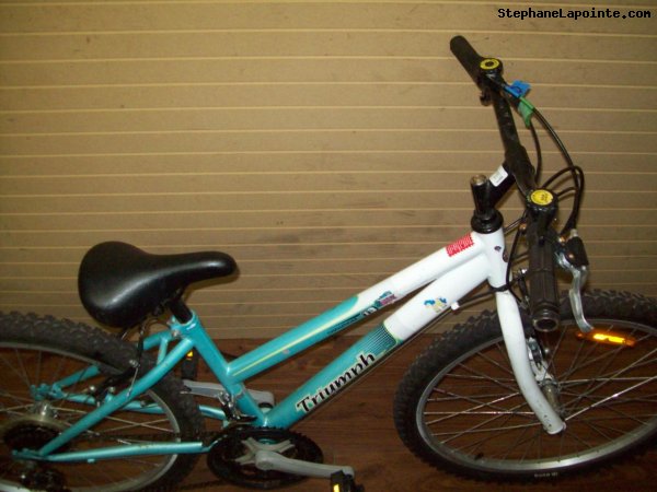 Vélo Triumph Challenger - StephaneLapointe.com