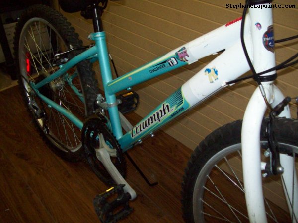 Vélo Triumph Challenger - StephaneLapointe.com
