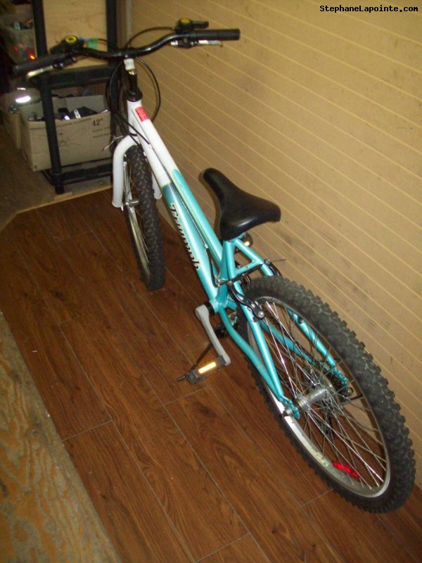 Vélo Triumph Challenger - StephaneLapointe.com