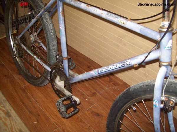 Vélo Leader LE 60750 - StephaneLapointe.com