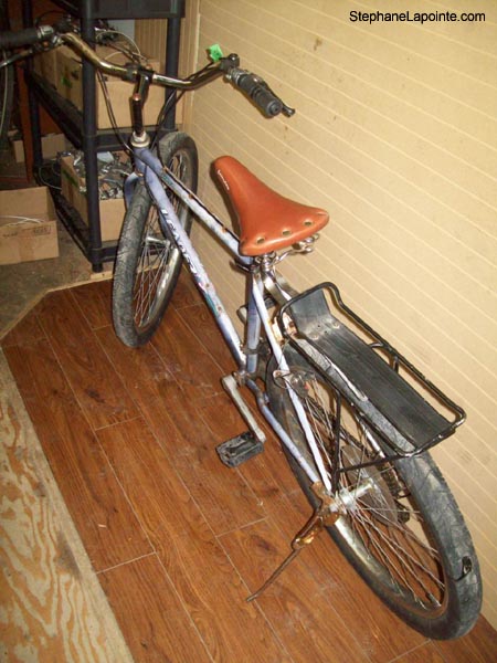 Vélo Leader LE 60750 - StephaneLapointe.com