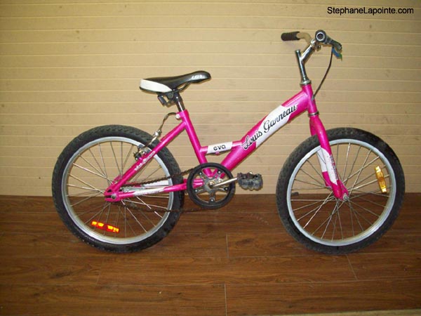 Vélo Louis Garneau Eva - StephaneLapointe.com