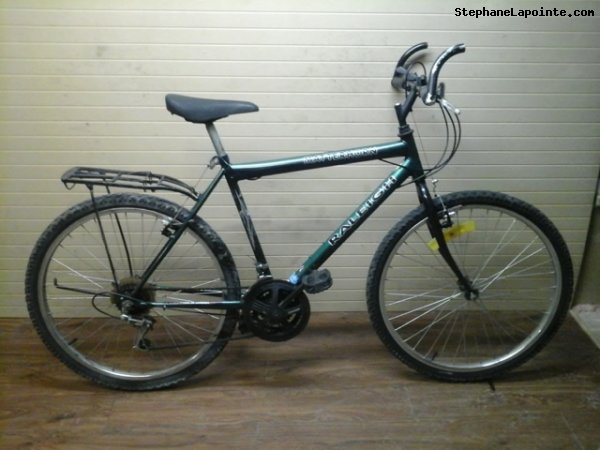 Vélo Raleigh Matterhorn - StephaneLapointe.com