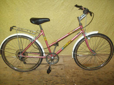 Vélo Leader All-Terrain - StephaneLapointe.com