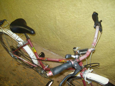 Vélo Leader All-Terrain - StephaneLapointe.com