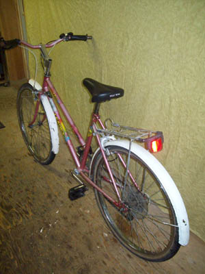 Vélo Leader All-Terrain - StephaneLapointe.com