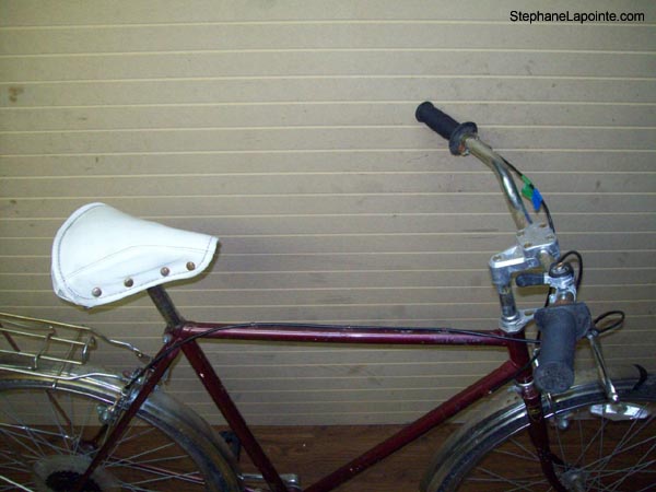 Vélo Free Spirit Town and Country - StephaneLapointe.com