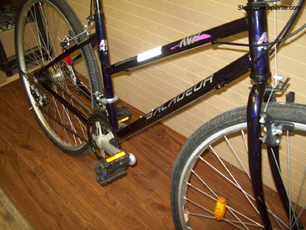 Vélo AVP Baladeur - StephaneLapointe.com