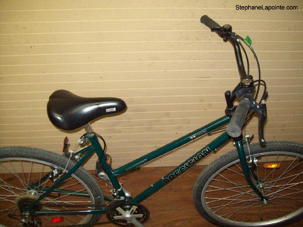 Vélo Precision PR 6041 - StephaneLapointe.com