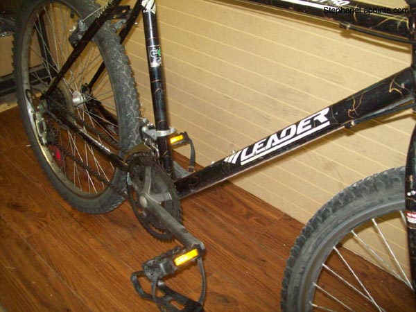 Vélo Leader LE 60750 - StephaneLapointe.com