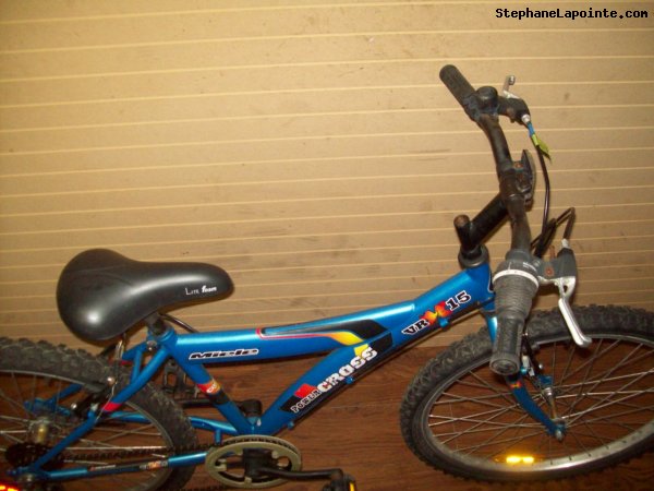 Vélo Miele Power Cross - StephaneLapointe.com