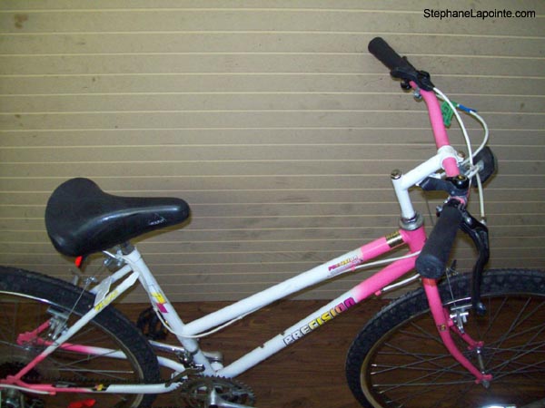 Vélo Precision PR6046 - StephaneLapointe.com