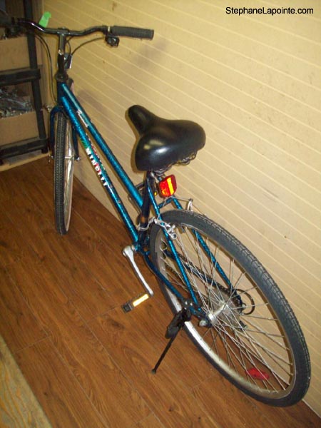 Vélo Minelli Promenade - StephaneLapointe.com