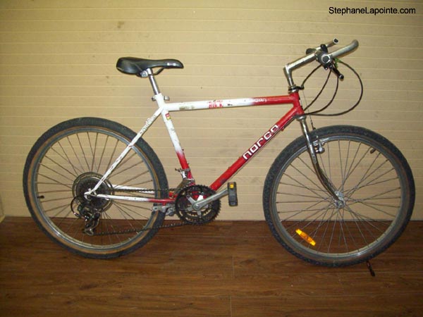 Vélo Norco Big Foot - StephaneLapointe.com