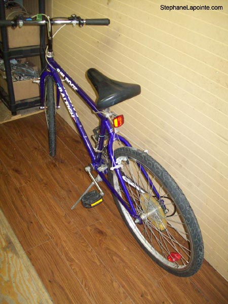 Vélo Raleigh Rim Rock - StephaneLapointe.com