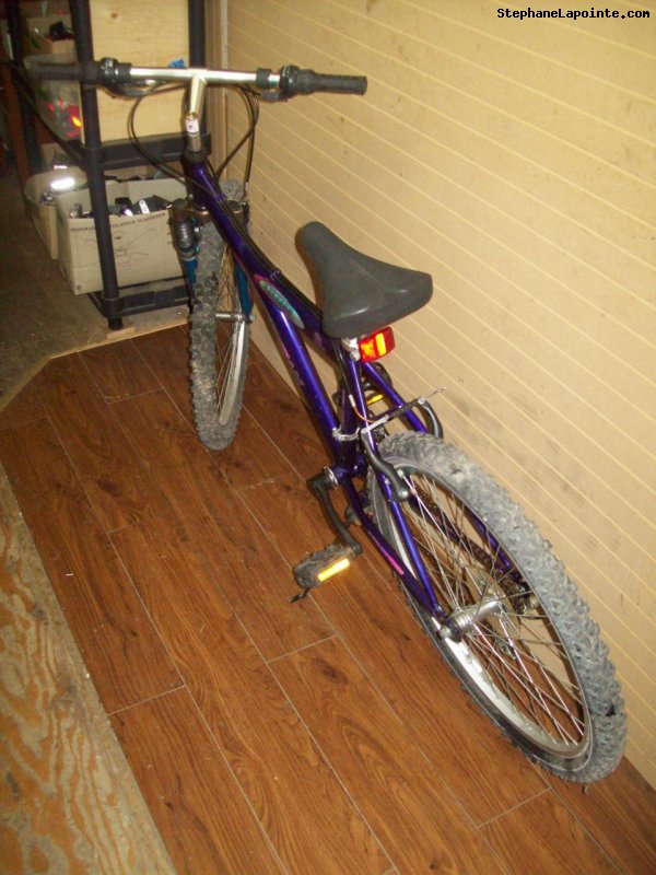 Vélo Techteam 1800 - StephaneLapointe.com