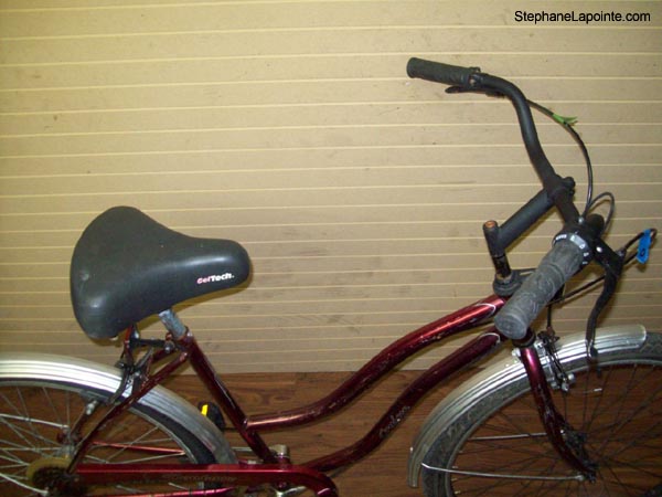 Vélo Venture Cruiser - StephaneLapointe.com
