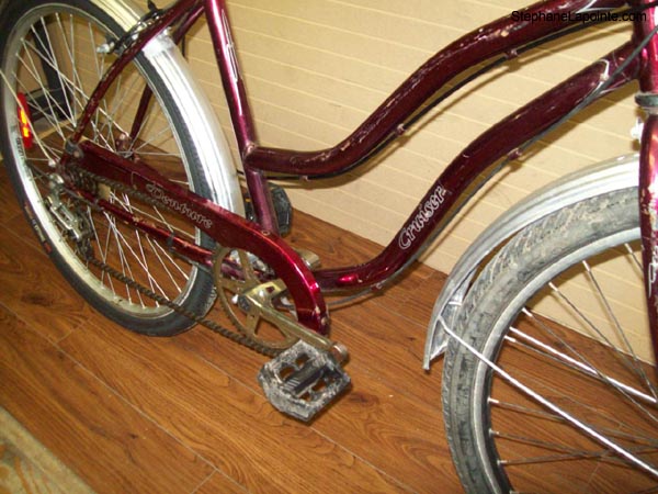 Vélo Venture Cruiser - StephaneLapointe.com