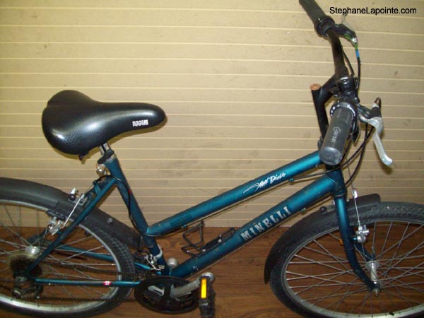 Vélo Minelli Mt-Diablo - StephaneLapointe.com