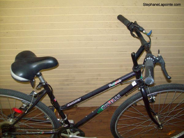 Vélo Minelli Promenade - StephaneLapointe.com