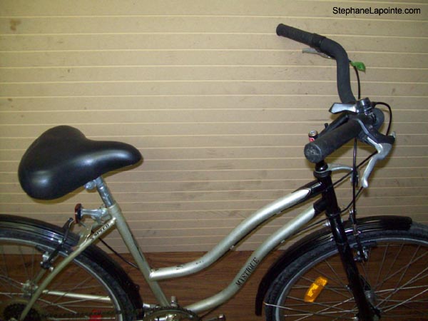 Vélo Triumph Mystique - StephaneLapointe.com