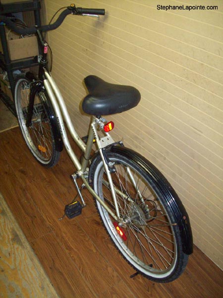 Vélo Triumph Mystique - StephaneLapointe.com