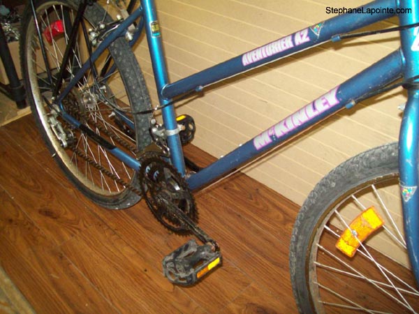 Vélo McKinley Aventurier A2 - StephaneLapointe.com