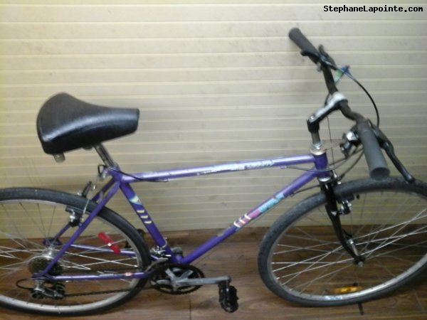 Vélo McKinley Cross Terrain - StephaneLapointe.com