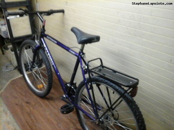 Vélo Raleigh Matterhorn - StephaneLapointe.com