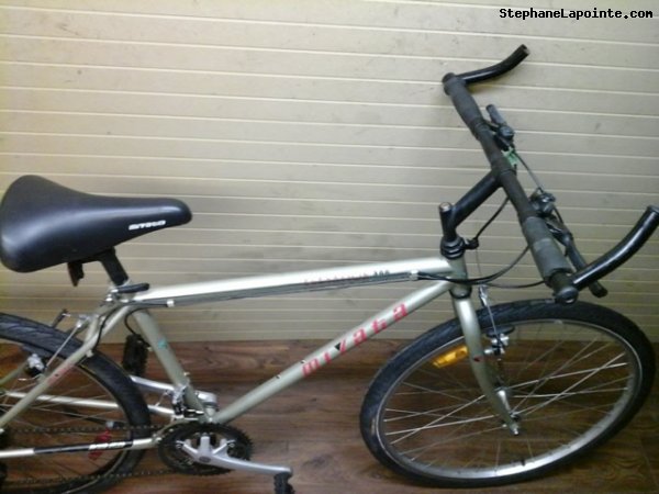 Vélo Miyata Elevation 300 - StephaneLapointe.com