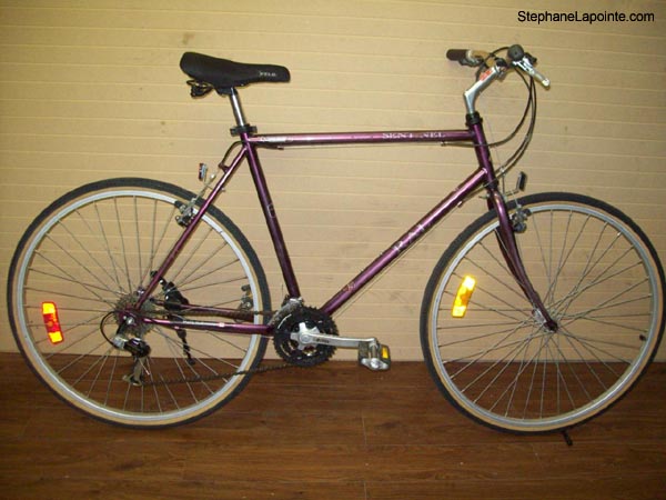 Vélo Raleigh Sentinel - StephaneLapointe.com