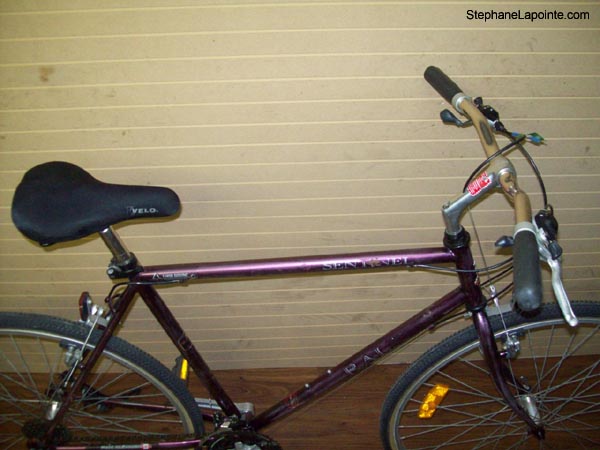 Vélo Raleigh Sentinel - StephaneLapointe.com
