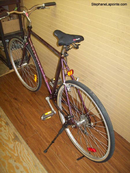 Vélo Raleigh Sentinel - StephaneLapointe.com