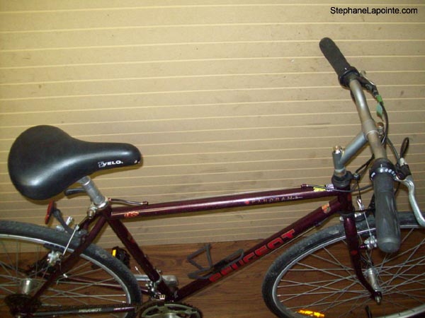 Vélo Peugeot Panorama - StephaneLapointe.com
