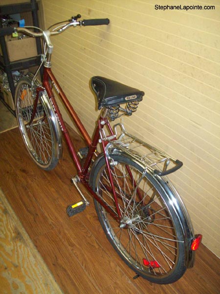 Vélo Free Spirit FS 400 - StephaneLapointe.com
