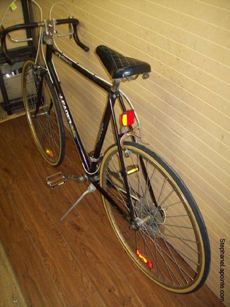 Vélo Leader LE 2000 - StephaneLapointe.com