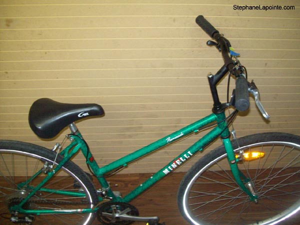 Vélo Minelli Promenade - StephaneLapointe.com