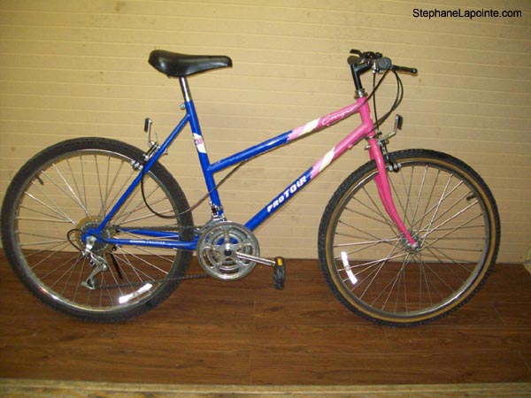 Vélo Pro Tour Cougar - StephaneLapointe.com