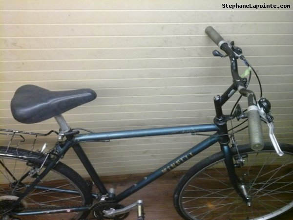 Vélo Minelli Mojave - StephaneLapointe.com