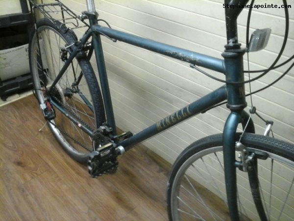 Vélo Minelli Mojave - StephaneLapointe.com