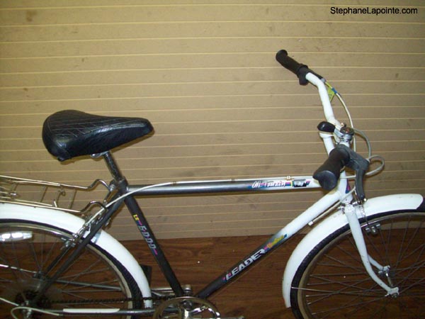 Vélo Leader LE 6000 - StephaneLapointe.com