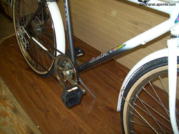Vélo Leader LE 6000 - StephaneLapointe.com