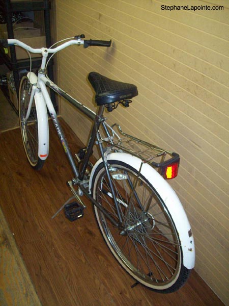 Vélo Leader LE 6000 - StephaneLapointe.com