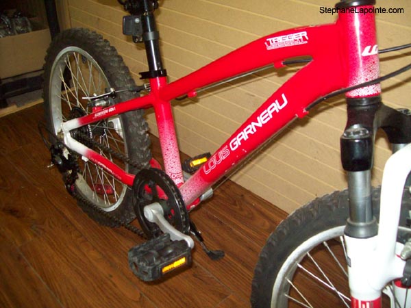 Vélo Louis Garneau Trigger - StephaneLapointe.com