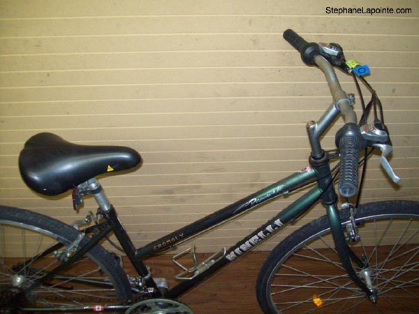 Vélo Minelli Promenade - StephaneLapointe.com