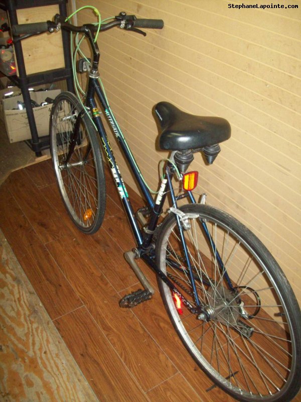 Vélo Niji Alternatif - StephaneLapointe.com